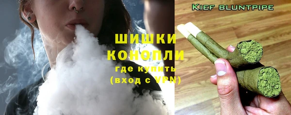 гашик Нягань