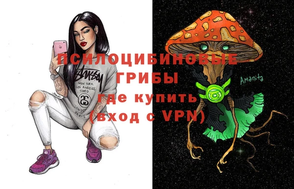 мдпв Нязепетровск