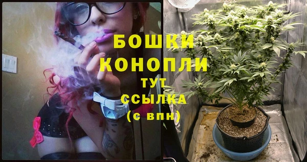 MDMA Няндома