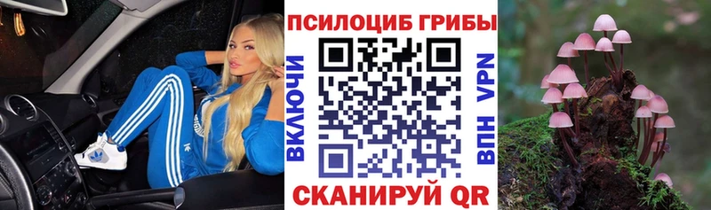 где продают   Асино  гидра маркетплейс  Галлюциногенные грибы мухоморы 