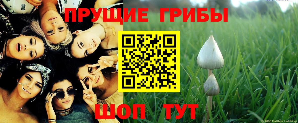 Галлюциногенные грибы ЛСД  Асино  Галлюциногенные грибы прущие грибы 