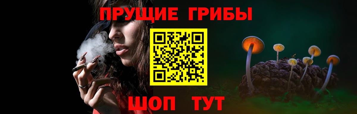 Галлюциногенные грибы MAGIC MUSHROOMS  Вход с VPN  как найти наркотики  Асино 